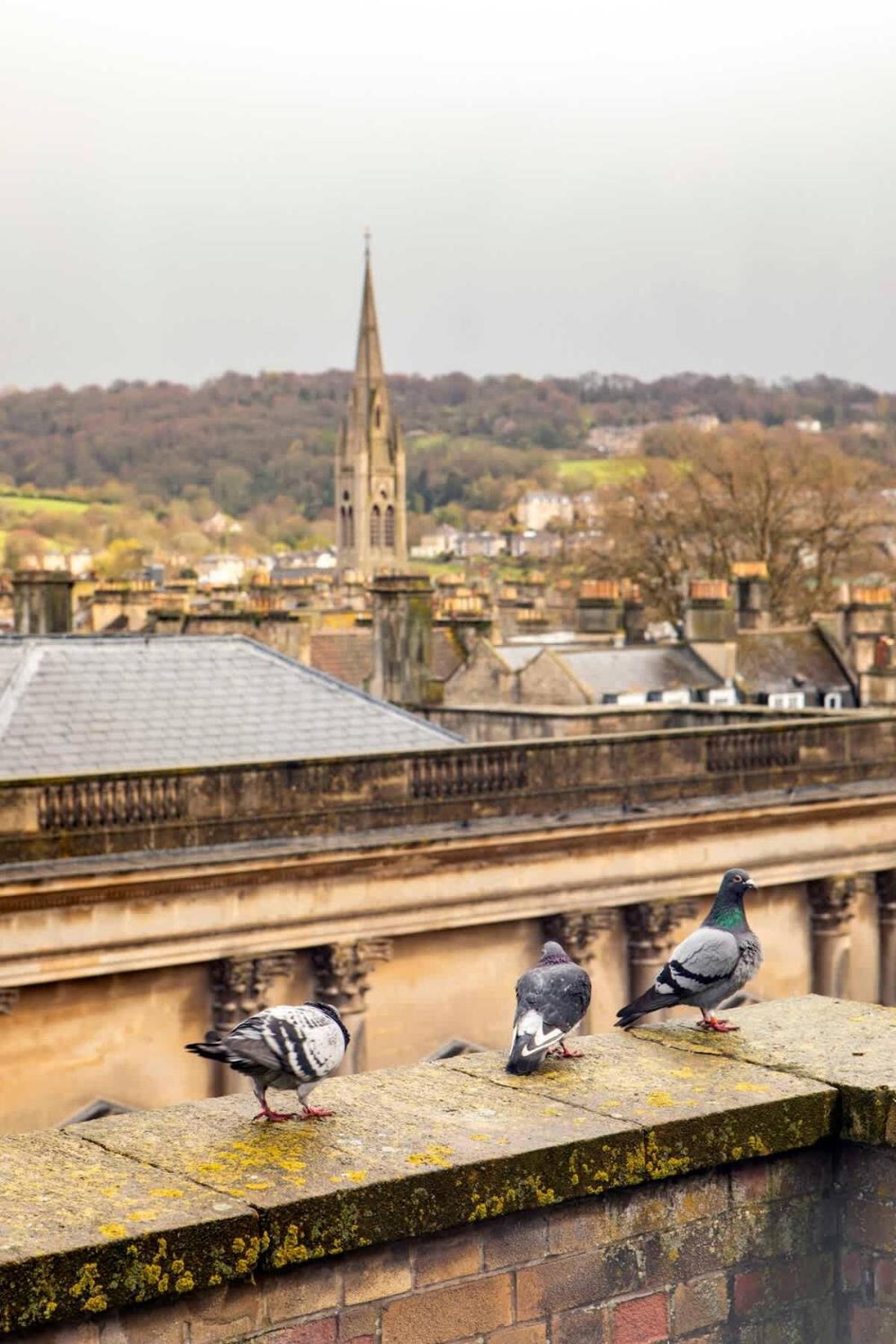 Apartment Abbey Views - Stylish &